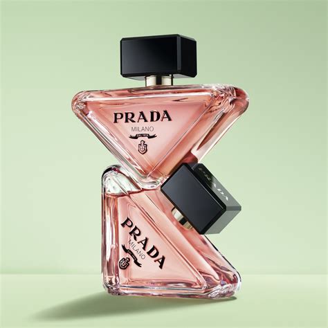 prada news.